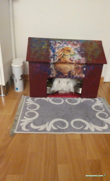 Göztepe Veteriner Kliniği