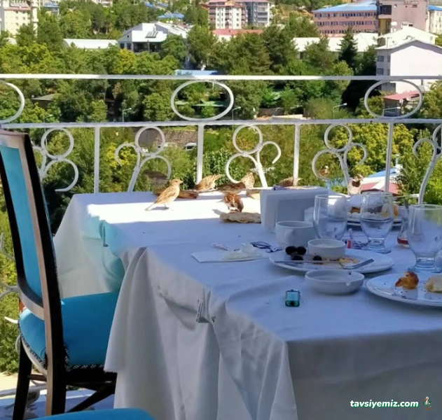 Grand Hotel Şaroğlu