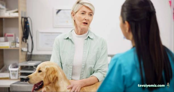 Greenvet Veteriner Polikliniği