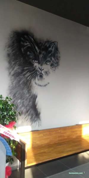 Greenvet Veteriner Polikliniği