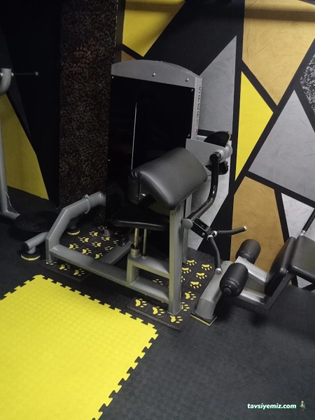 Güler Fight Akademi