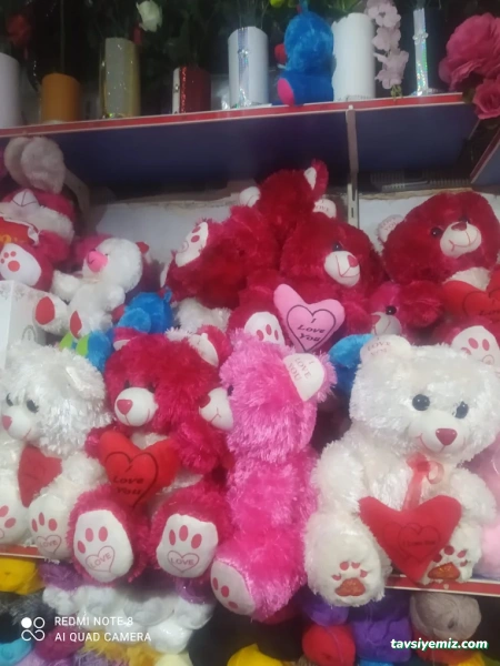 Gülistan Çiçekçilik Ve Düğün Organizasyon