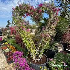 Gülsa Çiçekçilik Fidan Ve Peyzaj