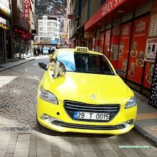 Gümüşhane Merkez Taksi