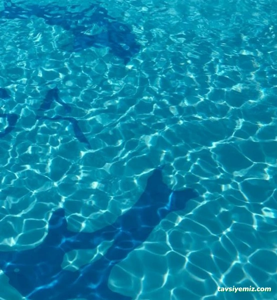 Günay Apart Fıstıklı Pansiyonları