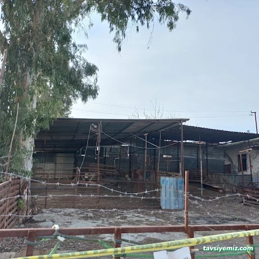 Günaydın Hurdacılık