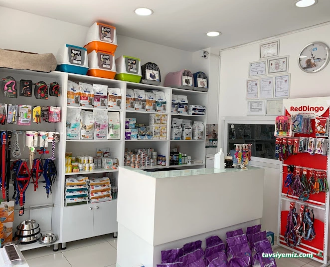 Güneşli Veteriner Kliniği