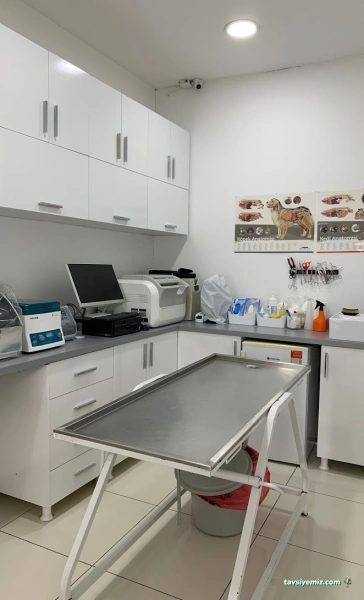 Güneşli Veteriner Kliniği