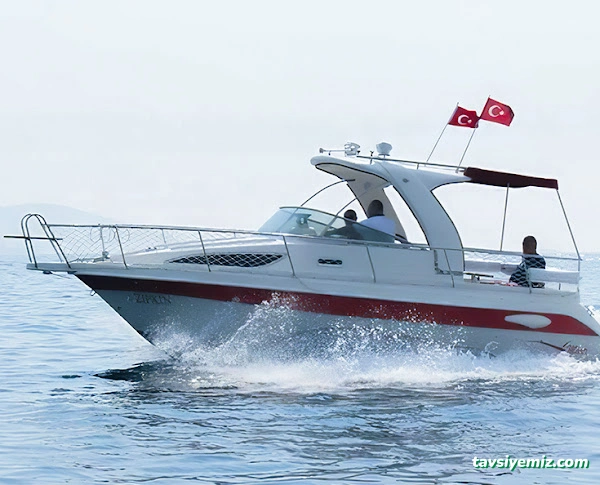 Güney Marin Ordu | Safter & İsatek Tekne, Gözde Marin, Us Boat, Tohatsu,Mercury,Suzuki,Honda Bayi & Servis