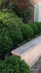 Gür Sera Peyzaj Fidanlık