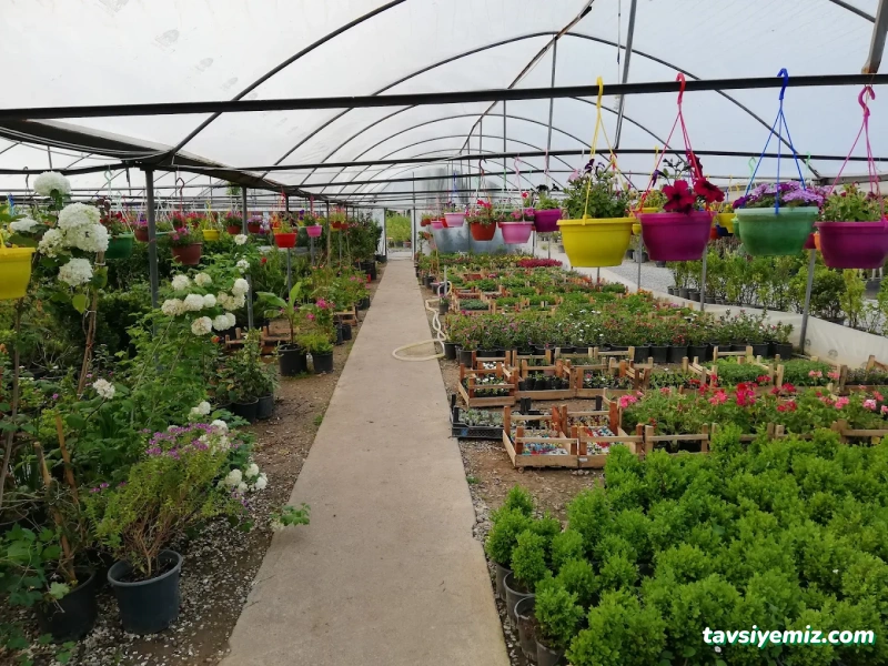 Gür Sera Peyzaj Fidanlık