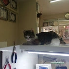 Güven Saat Tamircisi