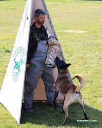 Hachiko Tekirdağ Pet Kuaför & Pet Hotel