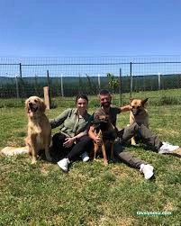 Hachiko Tekirdağ Pet Kuaför & Pet Hotel