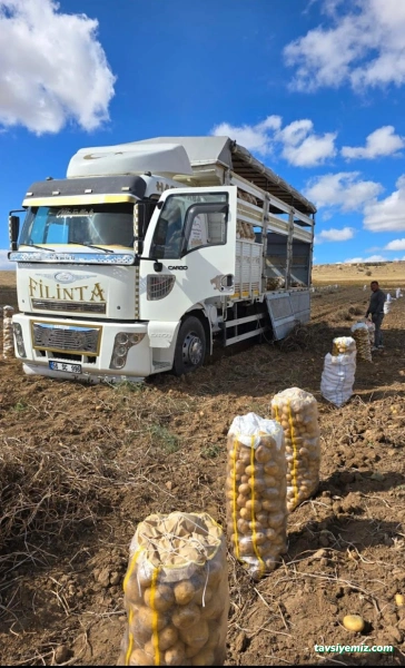 Hacıbaba Lojistik Toptan Sebze & Meyve Gıda Ltd.şti