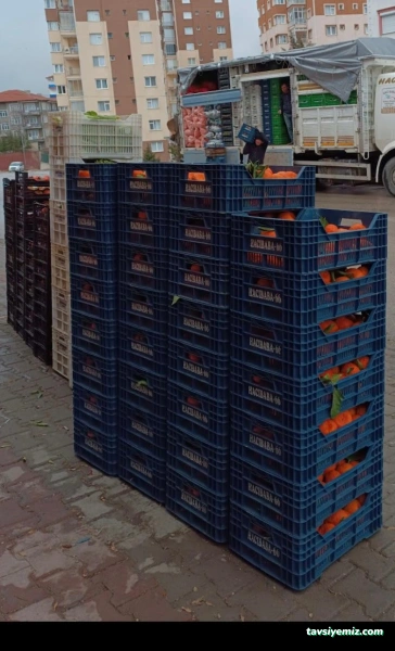 Hacıbaba Lojistik Toptan Sebze & Meyve Gıda Ltd.şti