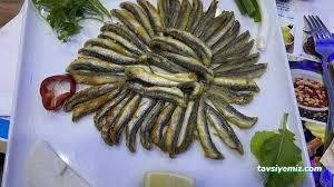 Hakkari Tekne Balık Lokantası