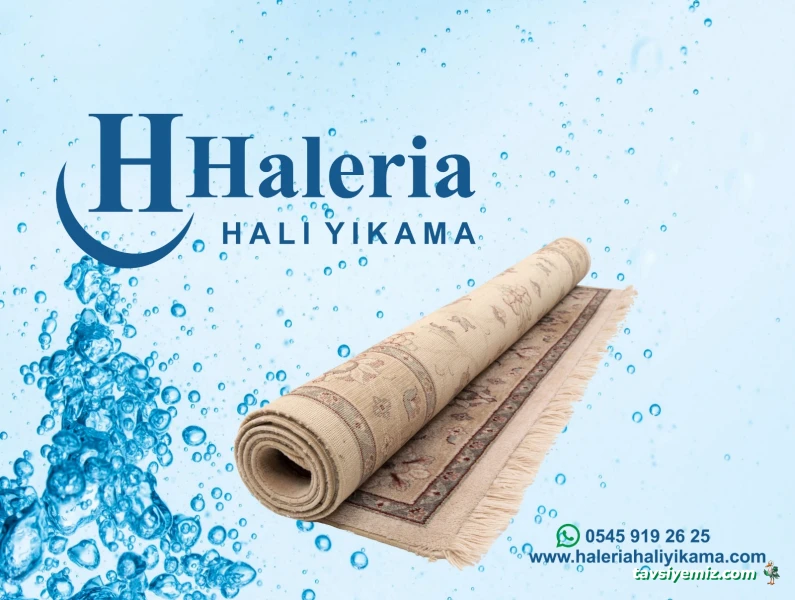Haleria Halı Yıkama