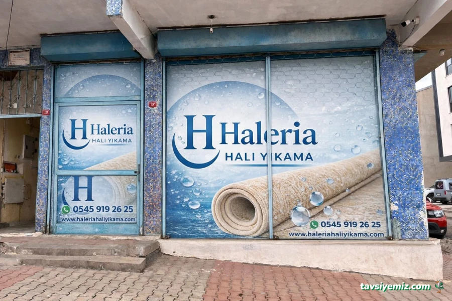 Haleria Halı Yıkama