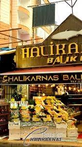 Halikarnas Balık Evi