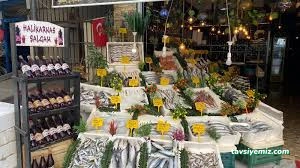 Halikarnas Balık Evi