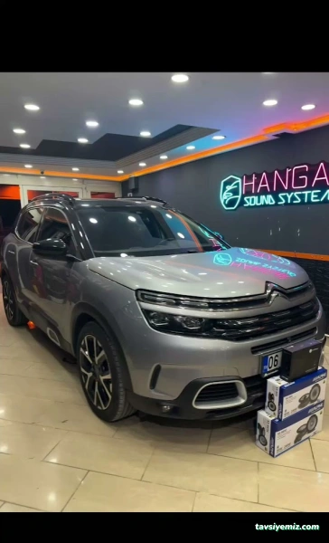 Hangaroto - Alpine Ses Ve Multimedya Sistemleri