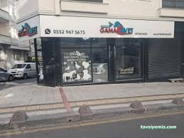 Hannan Veteriner Muayenehanesi