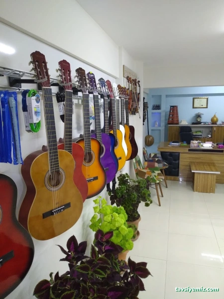 Harmoni Müzik Ve Sanat Merkezi