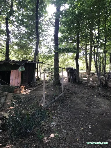 Havaalanı Paintball