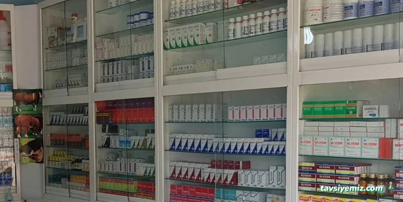 Hayat Veteriner Kiliniği