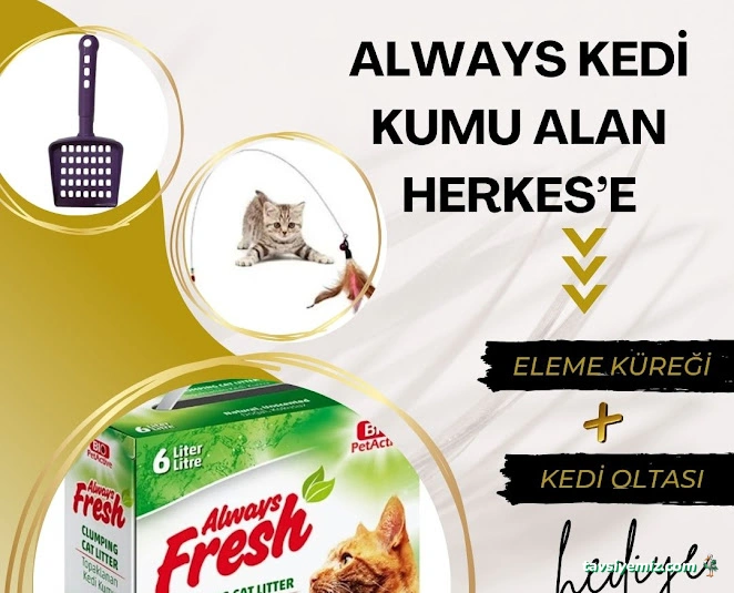 Haylaz Pati Pet Shop