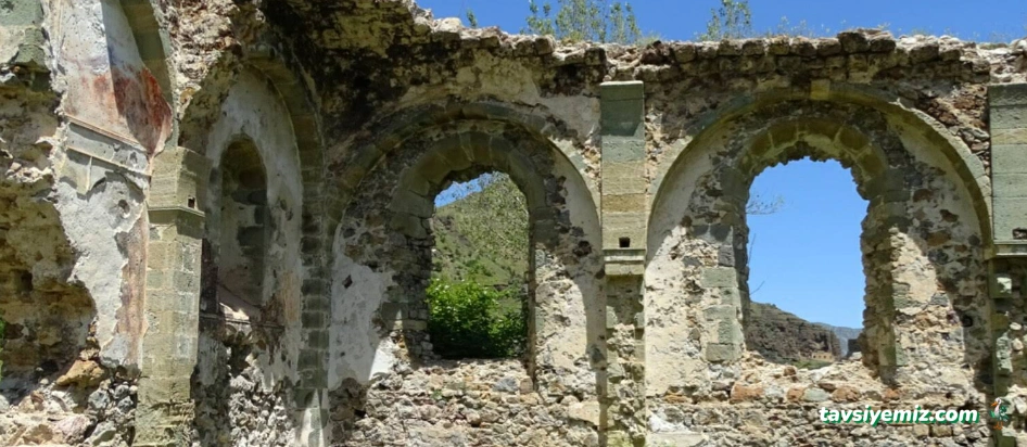 Hayvan Sağlığı Şube Müdürlüğü