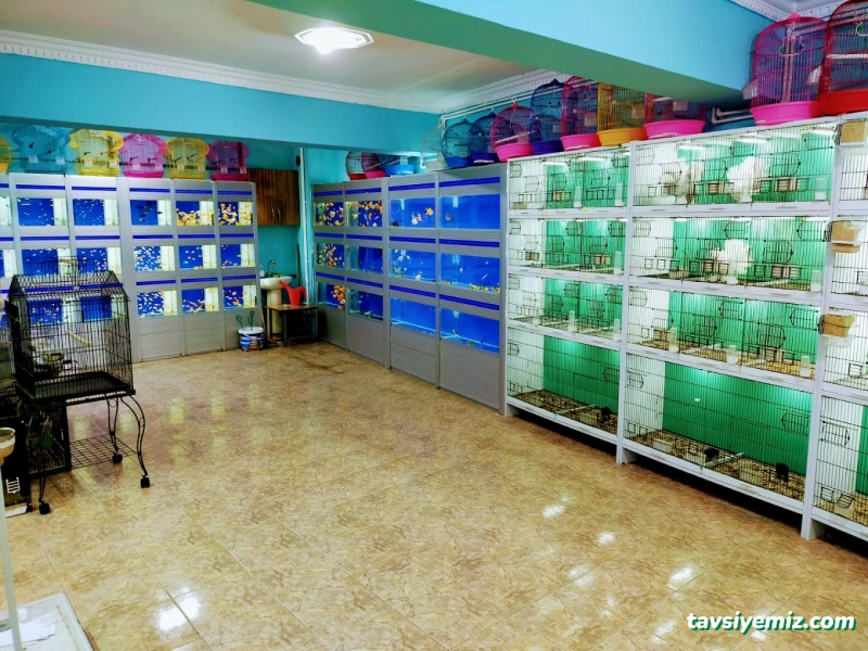 Hayvanlar Alemi Petshop