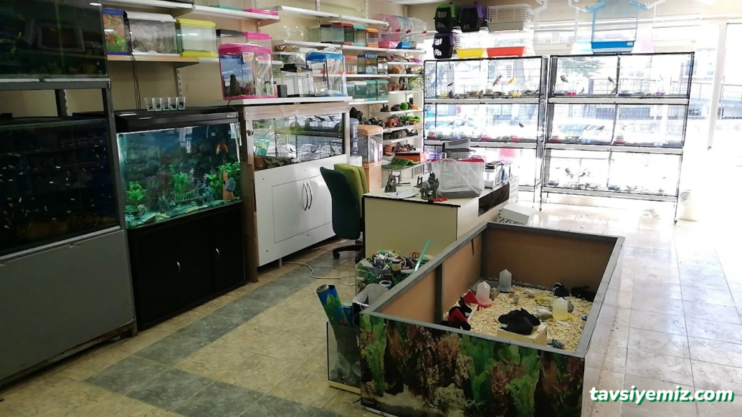 Hayvanlar Alemi Petshop