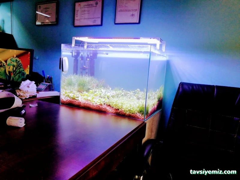 Hayvanlar Alemi Petshop