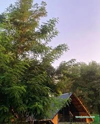 Hazar Bungalov Butik Otel