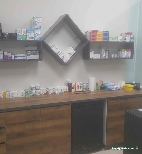 Hemvet Veteriner Muayenehanesı