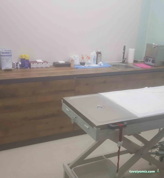 Hemvet Veteriner Muayenehanesı