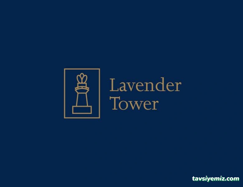 Hi Bro | Kocaeli Web Tasarım | Reklam Ajansı | Sosyal Medya | Prodüksiyon Ve Seo Ajansı