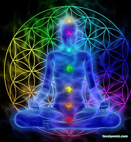 His Hacamat Ve Bioenerji