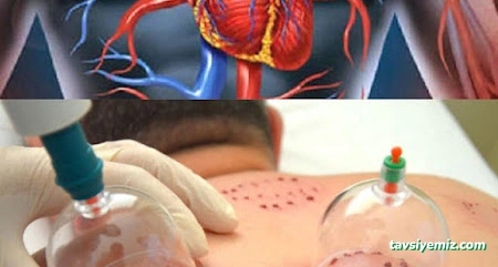 His Hacamat Ve Bioenerji