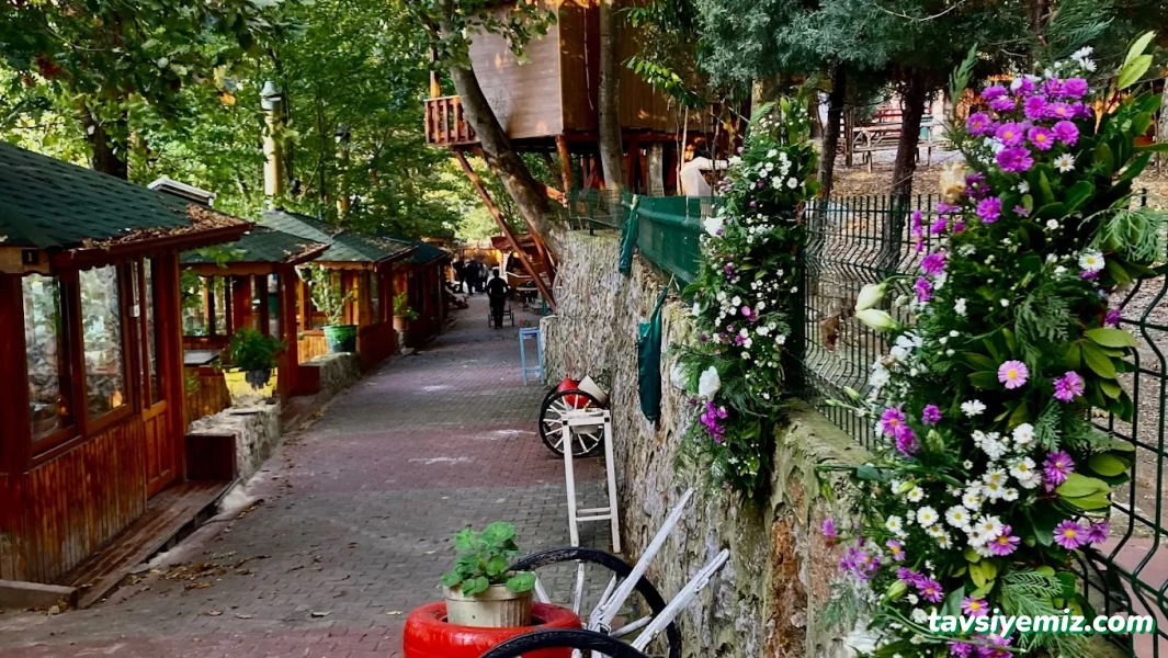 Hisarönü Gölet Mangalbaşı