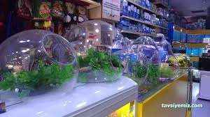 Hobby Pet Shop Hobi Grup Ltd.