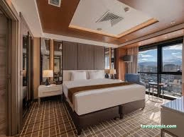 Holiday Inn Kayseri-Düvenönü