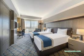 Holiday Inn Kayseri-Düvenönü