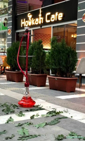 Hookah Cafe