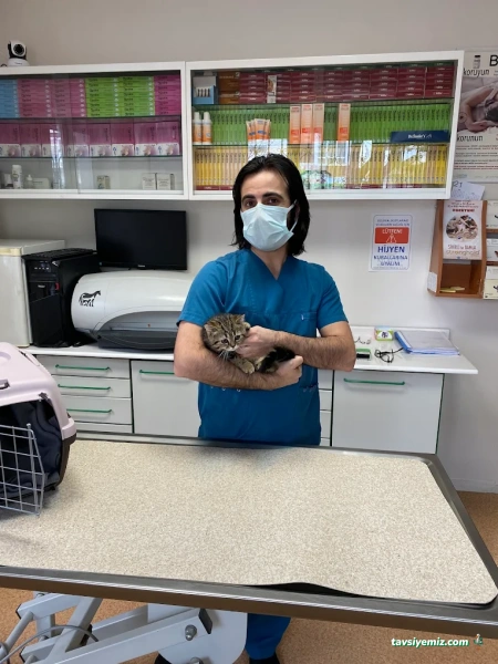 Hoşdere Veteriner Kliniği