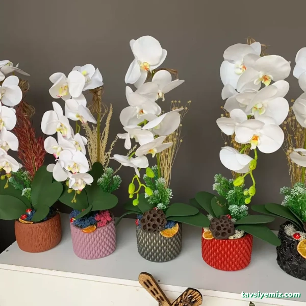 Ht Peyzaj Çiçekçilik Mardin