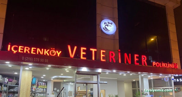 İçerenköy Veteriner Polikliniği