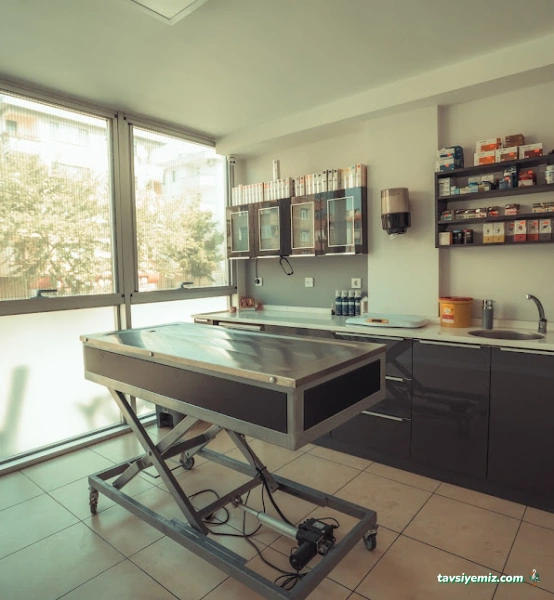 İçerenköy Veteriner Polikliniği